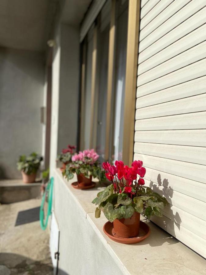 Domuspes Apartment Sedilo Exterior foto